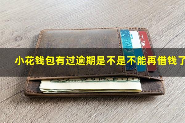 小花钱包有过逾期是不是不能再借钱了