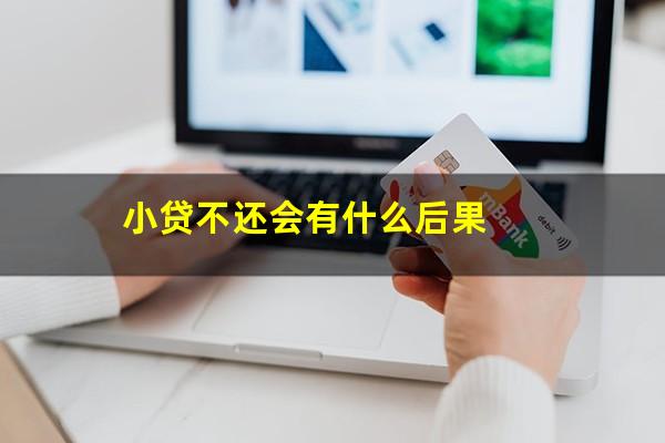 小贷不还会有什么后果
