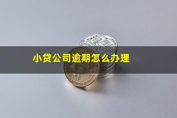 小贷公司逾期怎么办理