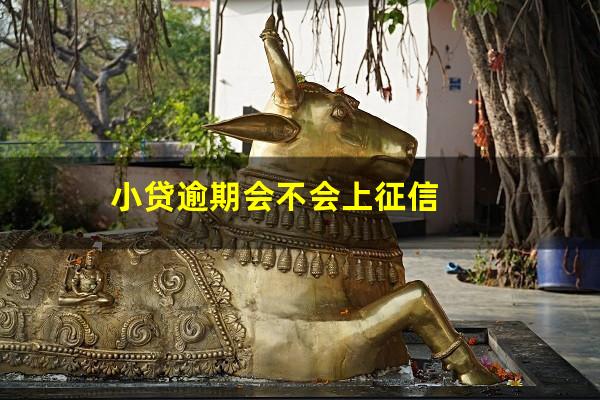 小贷逾期会不会上征信