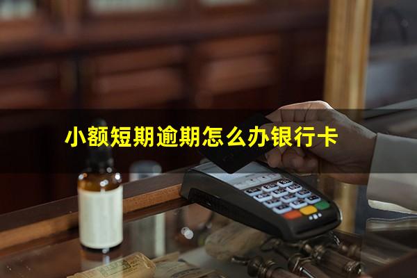 小额短期逾期怎么办银行卡