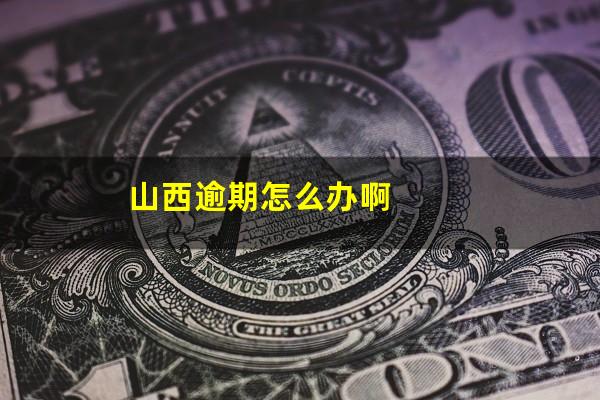 山西逾期怎么办啊