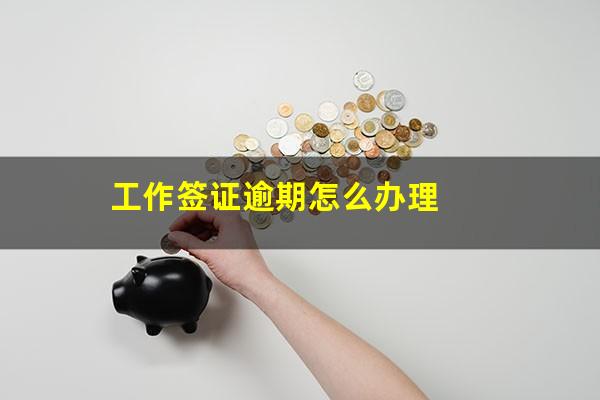工作签证逾期怎么办理
