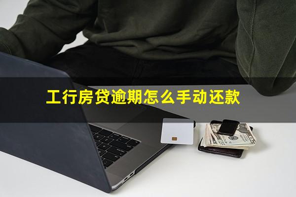 工行房贷逾期怎么手动还款