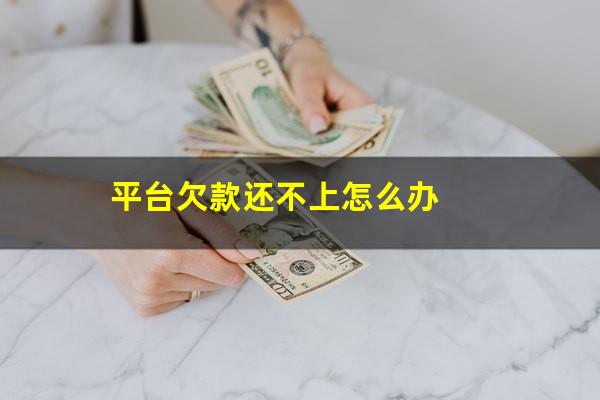平台欠款还不上怎么办