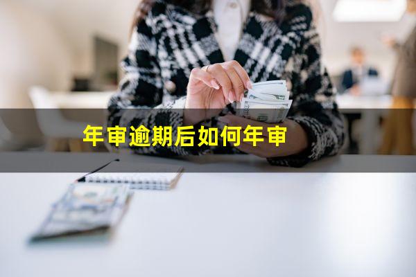 年审逾期后如何年审