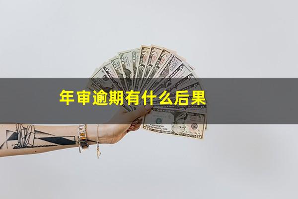 年审逾期有什么后果