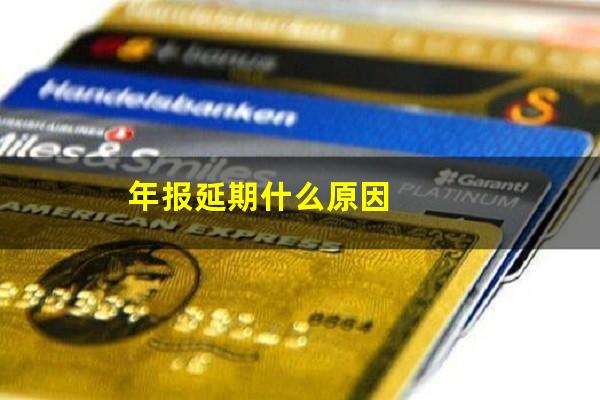 年报延期什么原因