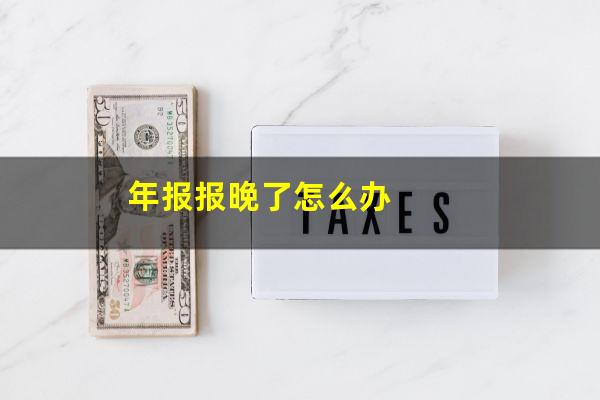 年报报晚了怎么办