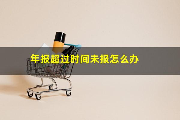 年报超过时间未报怎么办