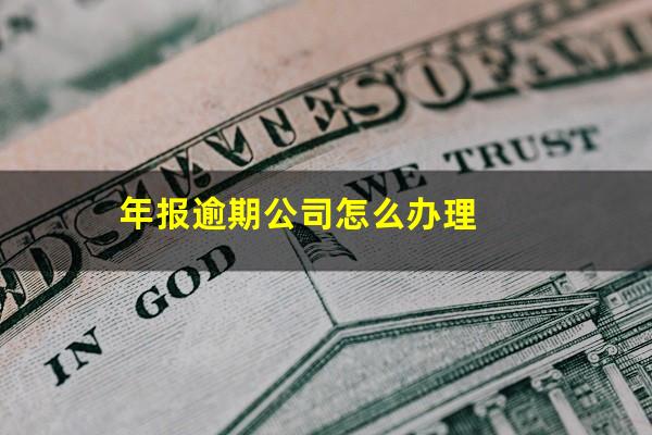 年报逾期公司怎么办理