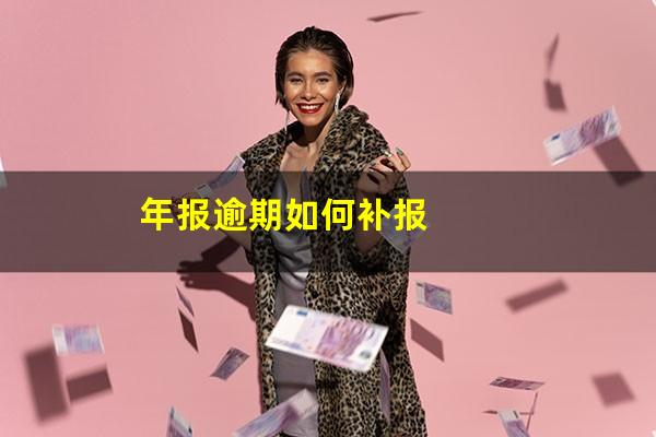 年报逾期如何补报