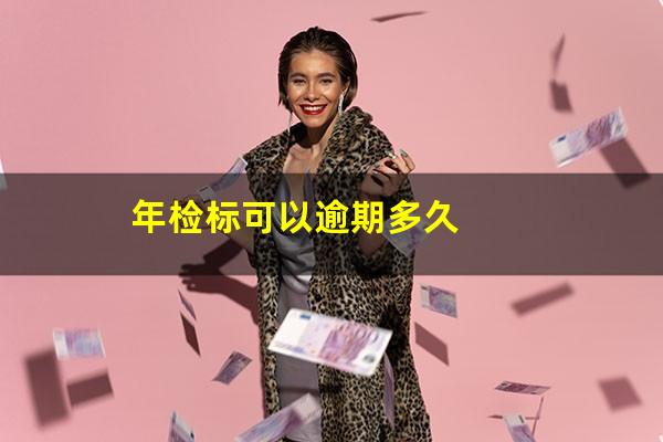 年检标可以逾期多久