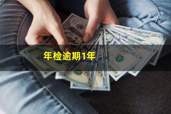 年检逾期1年