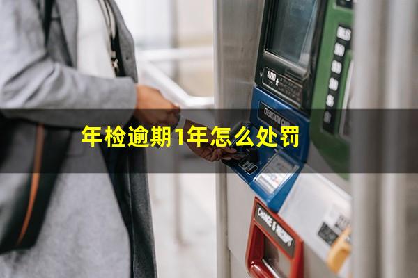 年检逾期1年怎么处罚