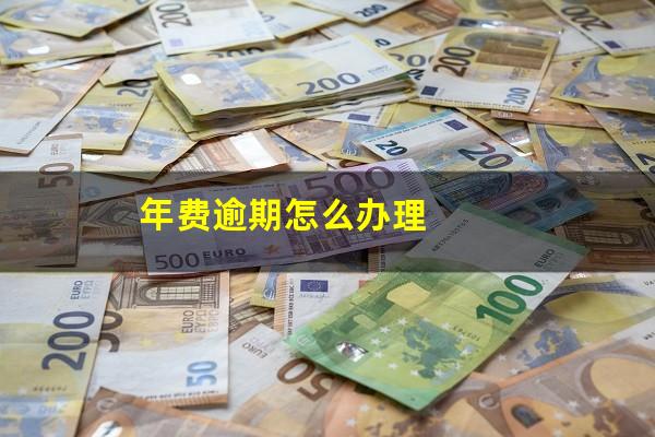 年费逾期怎么办理