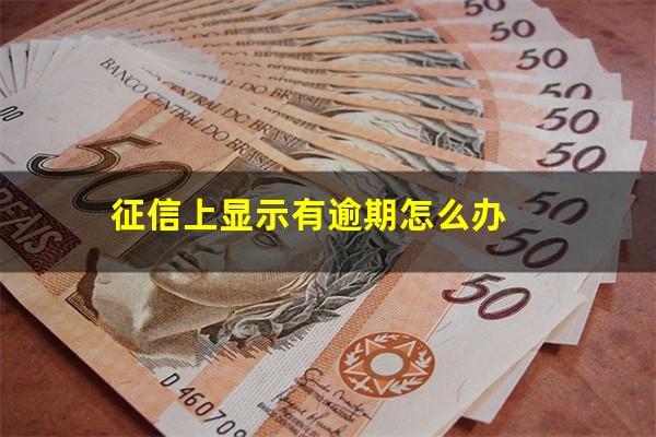 征信上显示有逾期怎么办