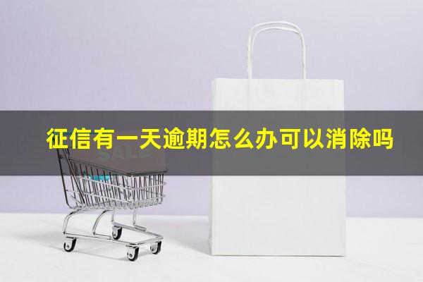 征信有一天逾期怎么办可以消除吗