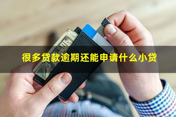 很多贷款逾期还能申请什么小贷