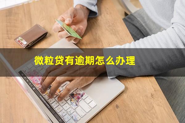 微粒贷有逾期怎么办理