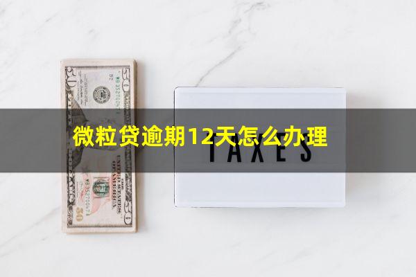 微粒贷逾期12天怎么办理