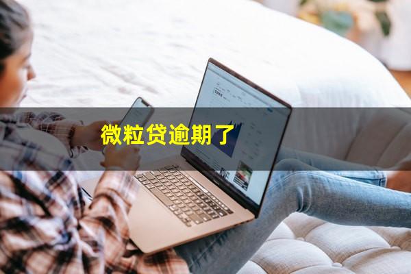 微粒贷逾期了
