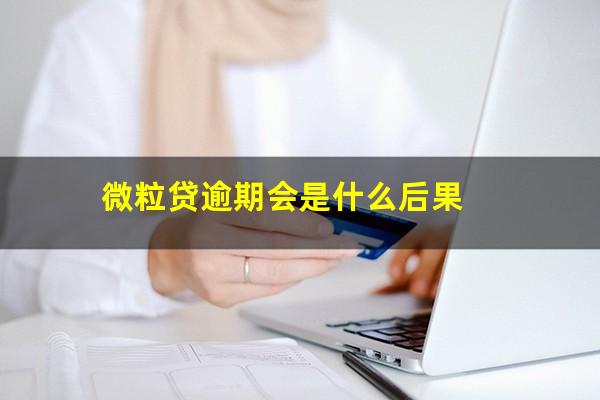微粒贷逾期会是什么后果
