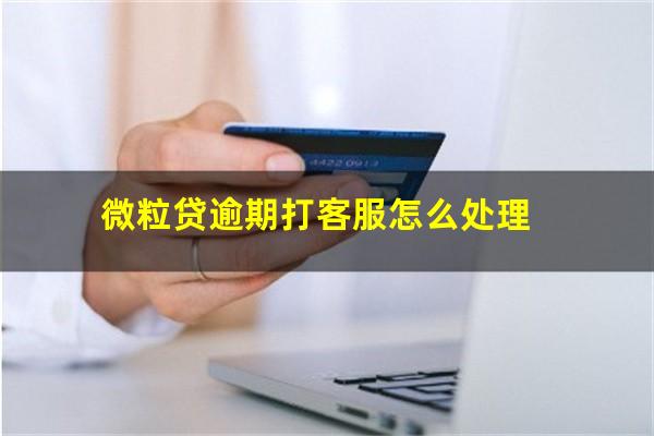 微粒贷逾期打客服怎么处理