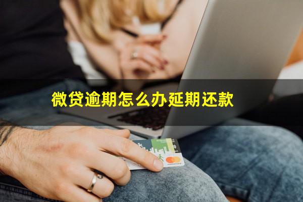 微贷逾期怎么办延期还款