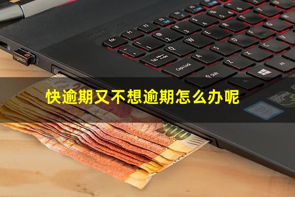 快逾期又不想逾期怎么办呢