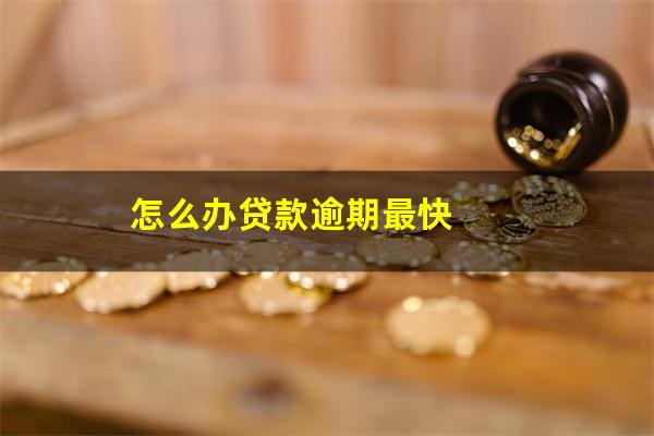 怎么办贷款逾期最快