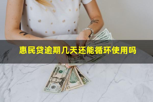 惠民贷逾期几天还能循环使用吗