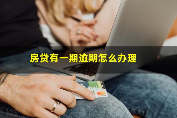 房贷有一期逾期怎么办理