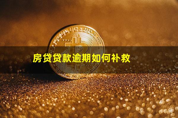 房贷贷款逾期如何补救