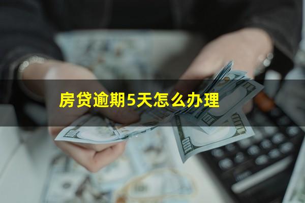 房贷逾期5天怎么办理