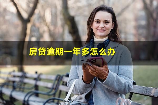 房贷逾期一年多怎么办