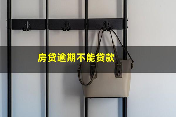 房贷逾期不能贷款