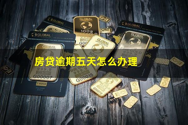 房贷逾期五天怎么办理