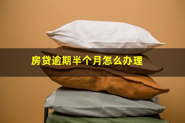 房贷逾期半个月怎么办理