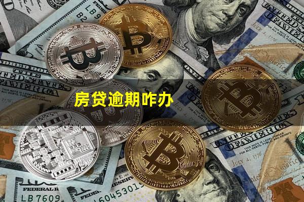 房贷逾期咋办