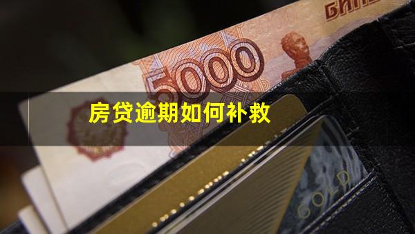 房贷逾期如何补救