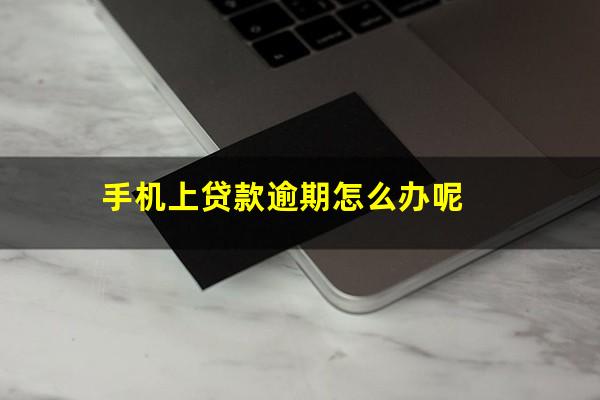 手机上贷款逾期怎么办呢