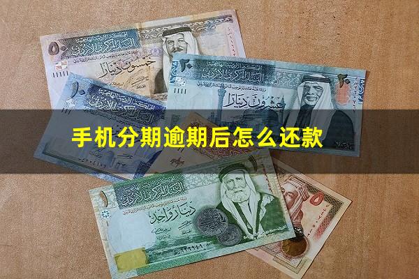 手机分期逾期后怎么还款