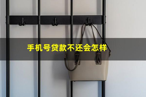 手机号贷款不还会怎样