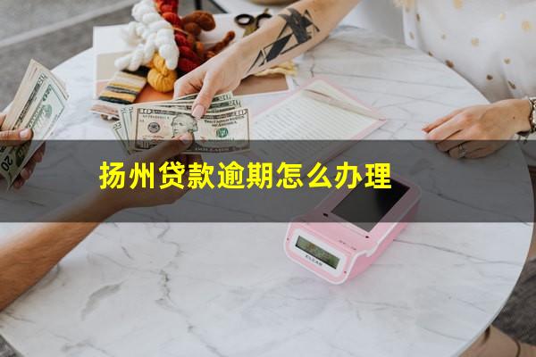 扬州贷款逾期怎么办理