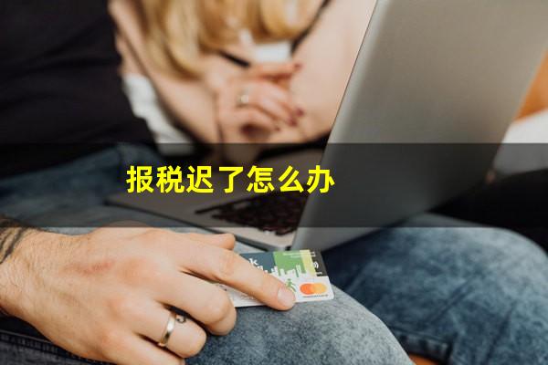 报税迟了怎么办