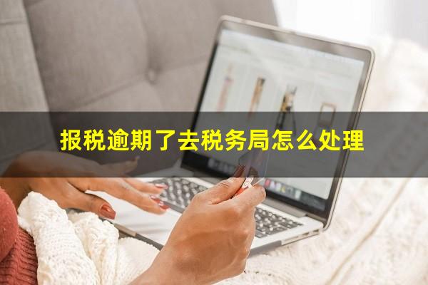 报税逾期了去税务局怎么处理