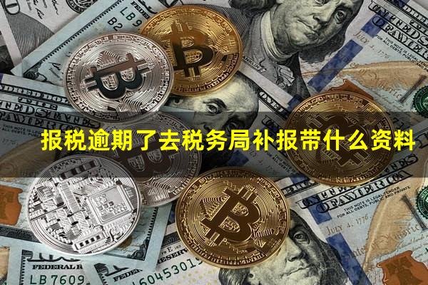 报税逾期了去税务局补报带什么资料
