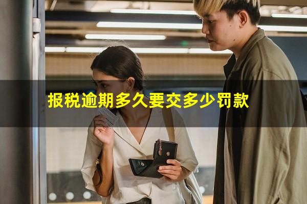 报税逾期多久要交多少罚款