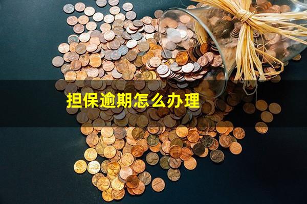 担保逾期怎么办理